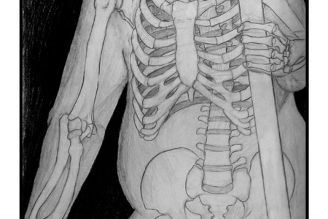 Exercise: Skeleton - Figure Study - 18” x 24” Pencil & Conte Crayon Illustration - Fall 2003 - Lansing Community College, Lansing, MI