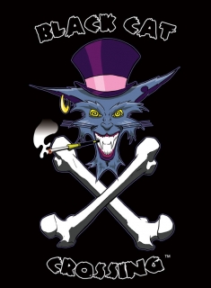 Client: Black Cat Crossing ~ Cat Cave Productions - Logo - Pencil & Ink Illustration + Digital Color & Text - 8/2009 ~ Chicago, IL